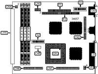 MPL   IPM486